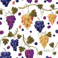 Grape pattern. Seamless print of bunch of green grapes, vintage texture of wine vine fruit, natural food background. Vector illustration