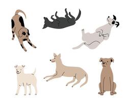 Funny active dogs in different positions. Playful pets, sitting, standing and lying puppies isolated set. Cartoon domestic purebred characters vector