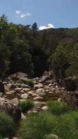 Vertikale Video von Fluss Felsen im Sommer- Tag