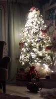 vertical vídeo do Natal árvore às casa video