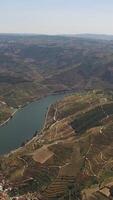 verticaal video van de verbazingwekkend douro vallei en rivier- douro in Portugal antenne visie
