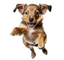 AI generated Cute puppy jumping. Playful dog cut out at background. photo