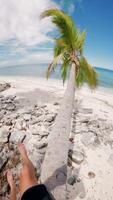 First view person at tropical beach with coconut palm on sunny day. Man in shorts sitting on palm tree. Vertical footage video