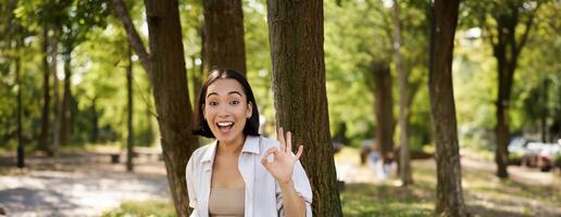 Portrait of asian young woman, student doing homework, working in park, sitting beside tree with laptop and showing okay sign, approve smth photo