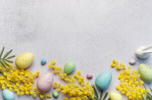 Pastel Easter Eggs and Yellow Mimosa Flowers on a Light Grey Background photo