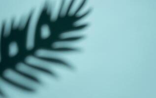 Abstract Shadow of a Tropical Leaf on a Light Blue Background in Soft Focus photo