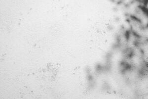 Tree leaves shadows on grey concrete wall photo