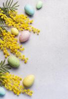 Pastel Easter Eggs and Yellow Mimosa Flowers on a Light Grey Background photo