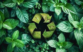 AI generated Moss-Covered Recycle Symbol Nestled Among Lush Green Leaves photo