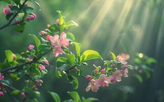 AI generated Spring Blossom Delight Pink Flowers Against Sunlit Natural Backdrop photo