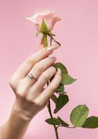 Beautiful woman's nails with  pearl manicure and rose on pink background photo