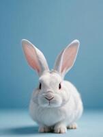 ai generado foto de blanco Conejo oído en pastel azul antecedentes Pascua de Resurrección día 3d representación. ai generado