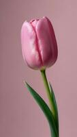 ai generado foto de dulce rosado tulipán flor mínimo y sencillo sin costura modelo. ai generado