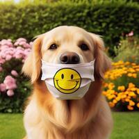 AI generated a golden. retriever sitting in the. grass. Petal Play. Beautiful, Spring Banner Capturing the Joy of a. Happy, Dog, AI generated photo