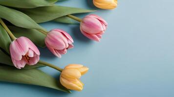 AI generated Photo Of Top View Tulip Flowers On Light Blue Blank Paper Background  Mothers Day Concept Feminine Concept. AI Generated