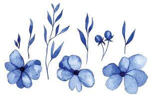 watercolor drawing, set of abstract flowers and leaves in blue. simple botanical illustration vector