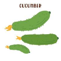 Set of cucumbers isolated on white background. vector