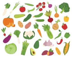 Big set of vegetables in flat style isolated on white background. vector