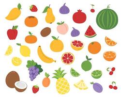 Big set of fruit in flat style isolated on white background. vector