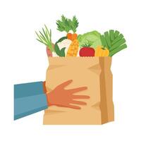 Shopping paper bag with vegetables in human hands isolated on white background. Shopping concept. Healthy food concept. Delivery concept. vector