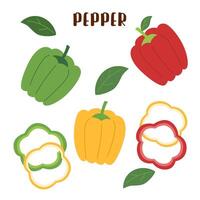 Set of pepper isolated on white. Pepper vegetable. vector