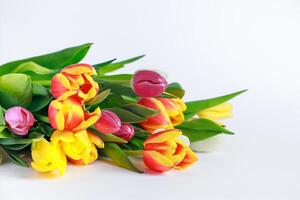 Bouquet of colorful multicolored tulips on white background. Happy easter. Spring symbol photo