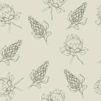 Vector floral seamless pattern with tropical protea flowers in boho style, earthy colors. Art line ,hand drawn ink african rose background for florist shop, wedding, invitation design