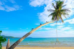 Beautiful tropical beach with Wood swing palm tree on blue sky and white cloud for travel and vacation photo