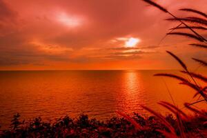 Beautiful sunset on seaside and grass on sky background natural landscape view photo