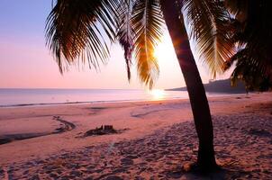 Beautiful sunrise tropical beach with palm tree and sky for travel and vacation in holiday photo