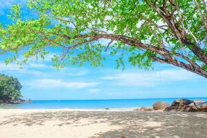 Marine landscape,Khao Lak Beach Thailand. photo