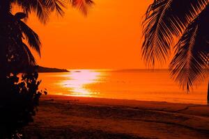 Beautiful sunset tropical beach with palm tree and pink sky for travel and vacation in holiday relax time photo