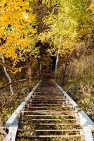 stairs leading down photo