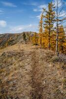 A narrow path, trodden by tourists, going along a mountain range. Bright blue sky overhead, breathtaking view of wildlife, golden autumn forest photo