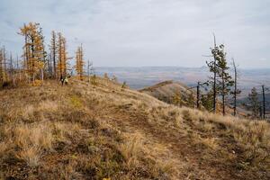 Panoramic view from the mountains to the surroundings, autumn landscape and golden forest, dark clouds overhead. A group of tourists walks to the top of the mountain. photo