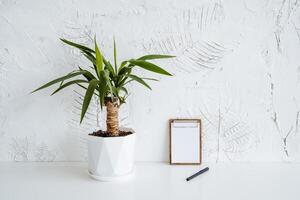 un pequeño maceta de ficus es en el mesa. un cuaderno con blanco hojas y un bolígrafo mentira lado por lado. minimalista trabajo escritorio. en conserva planta de casa foto