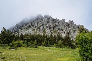 panorámico ver de el majestuoso montaña con agudo picos alrededor el montaña estiramientos un joven bosque, el montaña sí mismo es cubierto con ligero niebla. foto