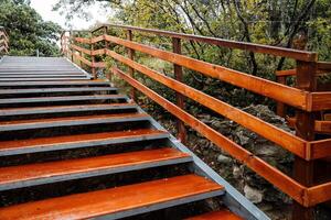 Bright staircase with wide steps. Downhill. Stairs in the park. Walk in the fresh air photo