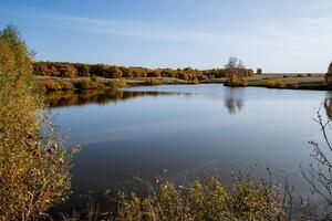 un lago rodeado por bosque foto