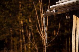 A thin icicle hangs from the roof. Frozen water in winter. Winter phenomena of nature. Sharp icicle. Minimalistic shot photo