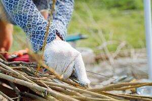Processing of vines and branches for basket weaving. A close shot of a person's hands wearing gloves to protect their hands. photo