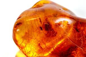 Macro stone mineral amber with insects, flies and beetles on a white background close up photo