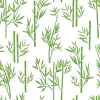 Seamless pattern of green bamboo stalks with leaves on white background vector