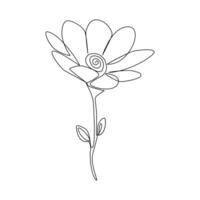 Romantic Flower in one line art outline drawing on white background minimal vector stroke