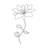 Romantic Flower in one line art outline drawing on white background minimal vector stroke