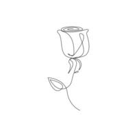 Continuous line drawing of rose flower vector illustration hand drawn decorative beautiful design minimalist