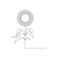 Sunflower in a continuous one line style hand drawn outline of flower isolated on white background vector