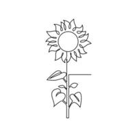 Sunflower in a continuous one line style hand drawn outline of flower isolated on white background vector