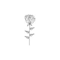 Continuous line drawing of rose flower vector illustration hand drawn decorative beautiful design minimalist