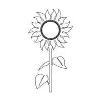 Sunflower in a continuous one line style hand drawn outline of flower isolated on white background vector